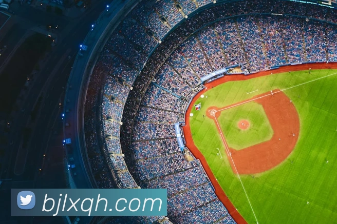 澳门百家乐网站APP 封面图